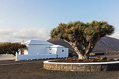 《灵活脑学校：一起伸展大脑》发布新预告 游戏将在12月发售