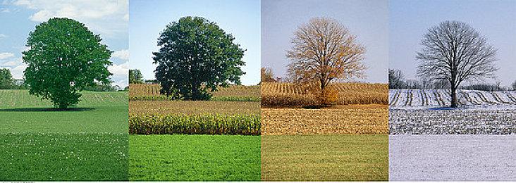 《蛾厂变形记》首次公开！ Steam愿望单现已开启 全新宣传影片初亮相